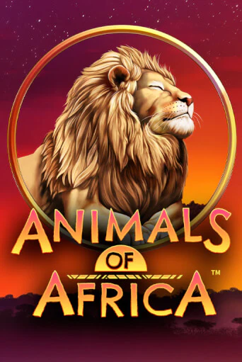 Animals of Africa ™ играть онлайн на интерес| Pin-Up без денег