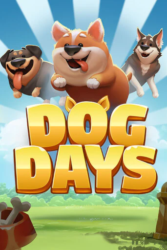 Dog Days играть онлайн на интерес| Pin-Up без денег