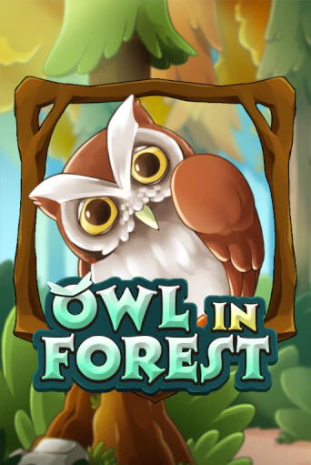 Owl In Forest играть онлайн на интерес| Pin-Up без денег