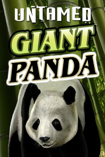 Untamed - Giant Panda играть онлайн на интерес| Pin-Up без денег