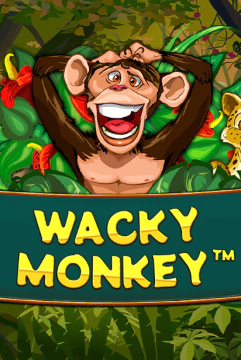 Wacky Monkey играть онлайн на интерес| Pin-Up без денег