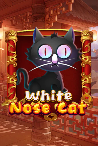 White Nose Cat играть онлайн на интерес| Pin-Up без денег
