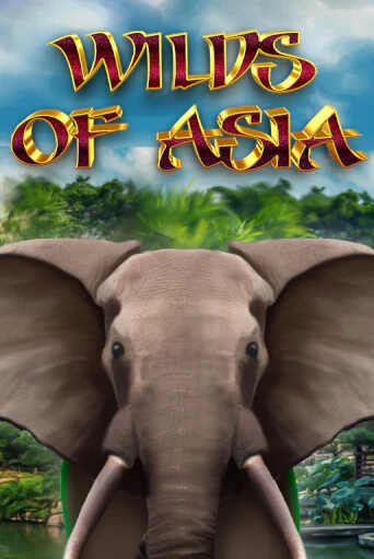 Wilds of Asia играть онлайн на интерес| Pin-Up без денег