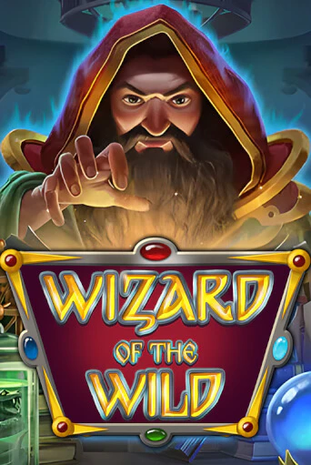Wizard of the Wild играть онлайн на интерес| Pin-Up без денег