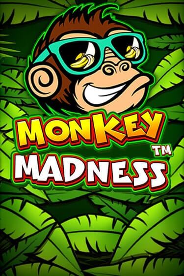 Monkey Madness играть онлайн на интерес| Pin-Up без денег