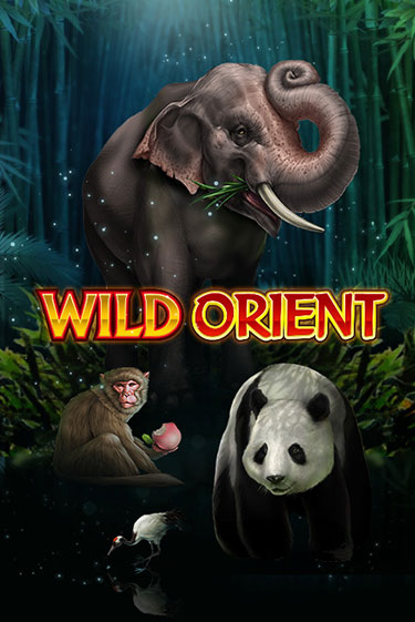 Wild Orient играть онлайн на интерес| Pin-Up без денег